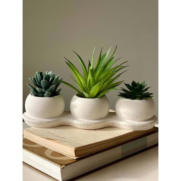 Peace Lily Air-Purifying Plant in Ceramic Pot