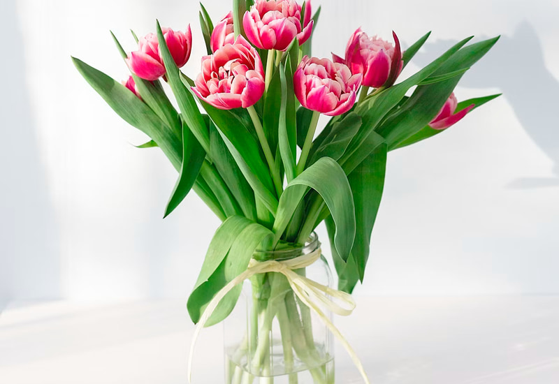 Flowers & Bouquets