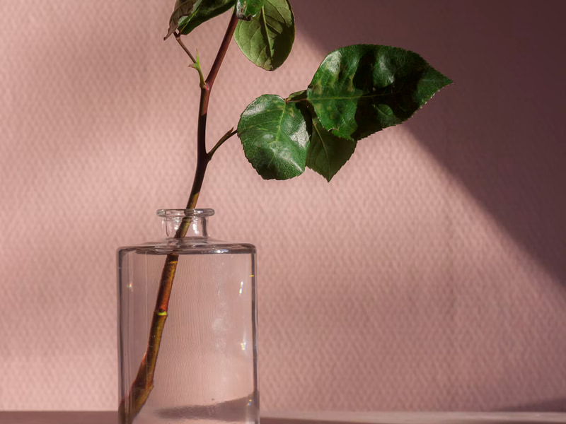 Eternal Rose in Glass Dome