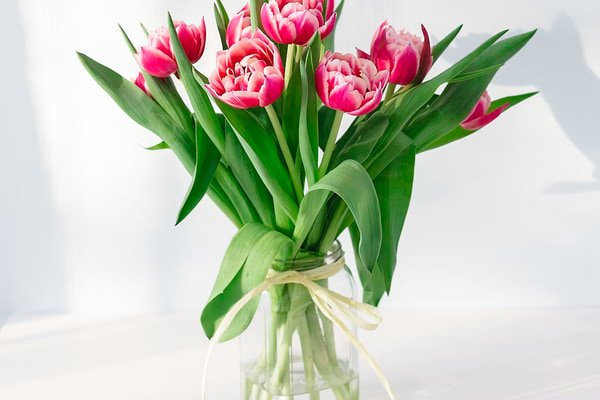 Fresh Flowers
